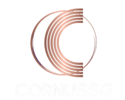 Screenshot 2024-12-27 112702